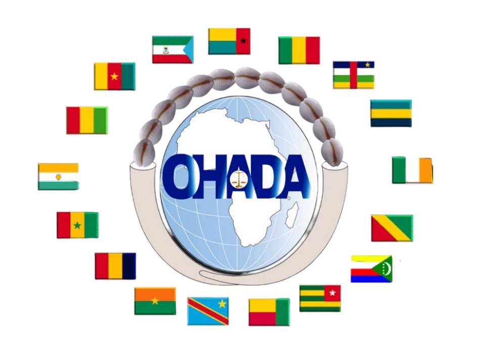 Logo OHADA entouré des drapeaux des 17 pays signataires
